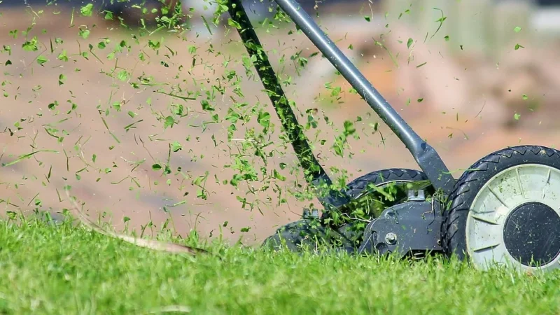 Szkolenia i certyfikaty dla podologów: co warto wybrać